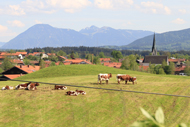 muenchen-wandern-hackensee-reutberger-kloster-000173